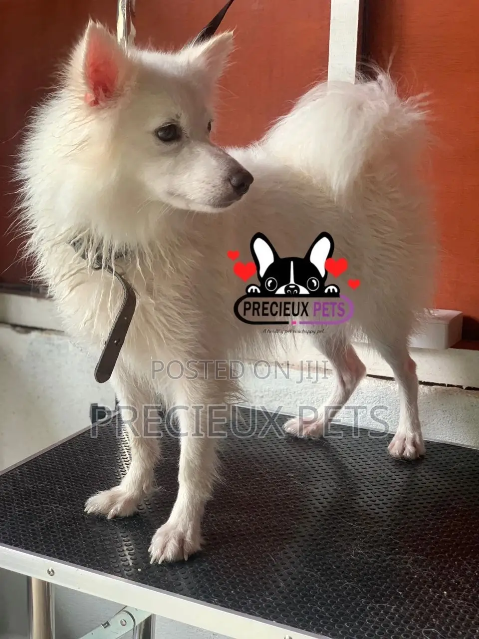 Deluxe-Grooming -#0001