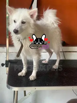 Deluxe-Grooming -#0001