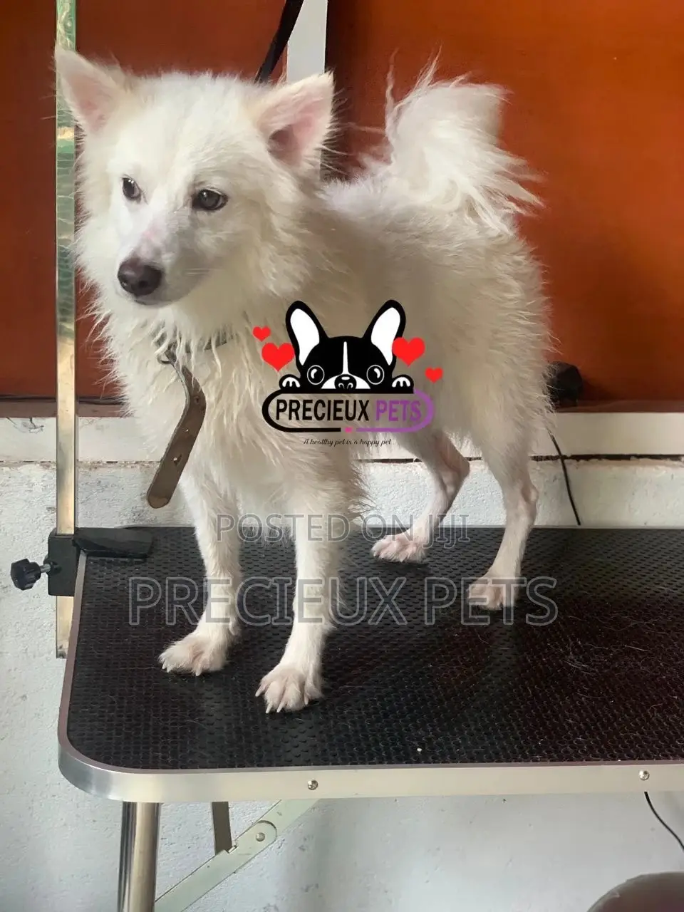 Deluxe-Grooming -#0001