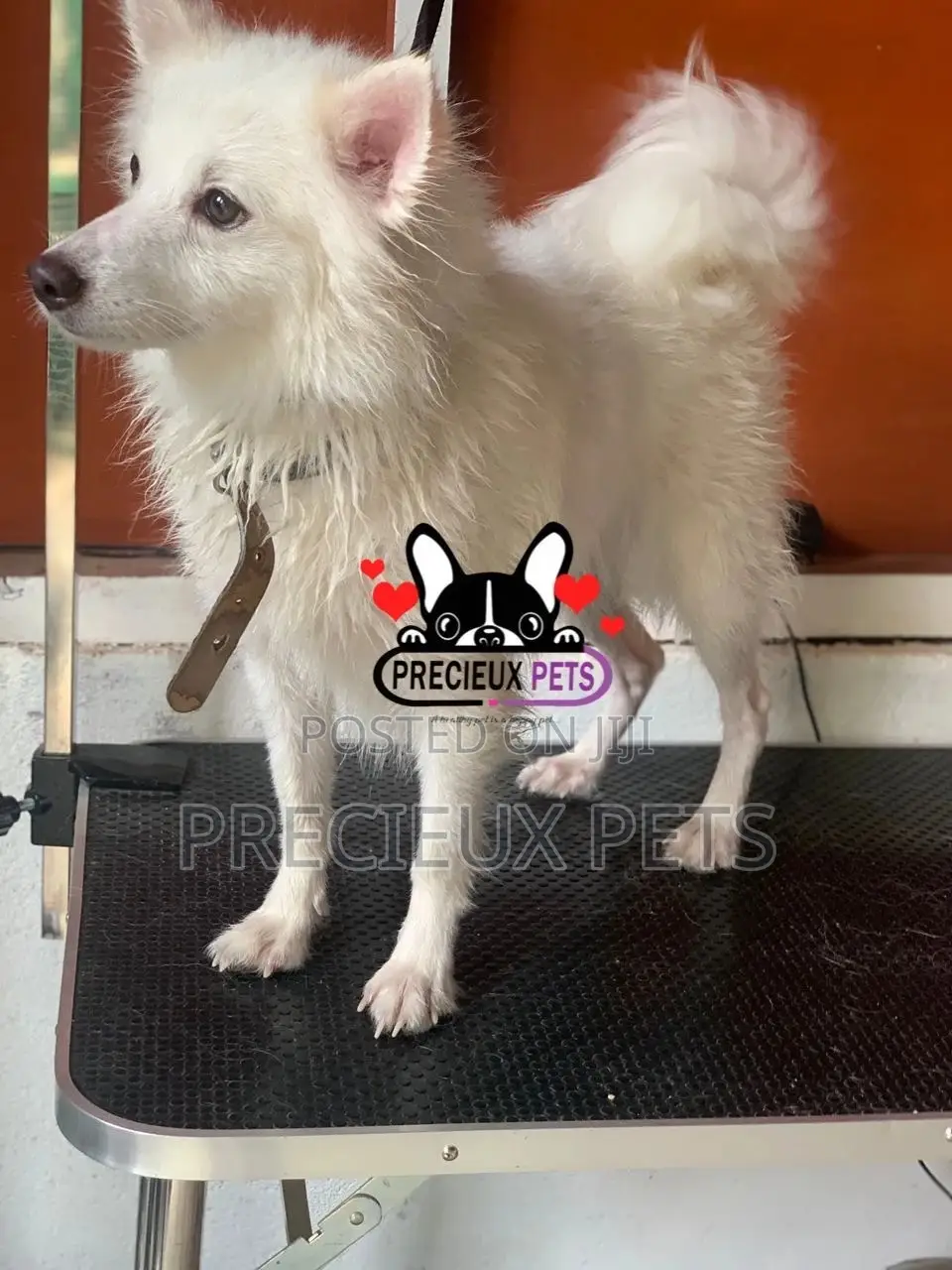 Deluxe-Grooming -#0001