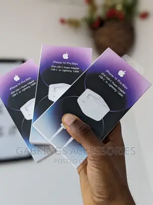 Apple 2- PIN 25 W Power Adapter +Type C Lightening Cable