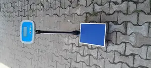 Scale With Height (Electronic)