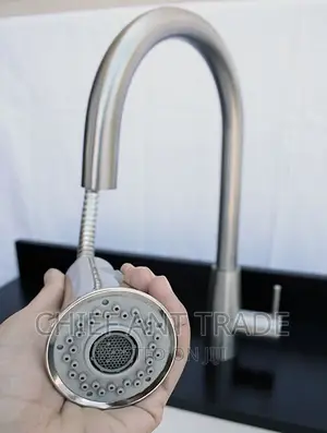 Faucet / Tap. Pull to Spray.