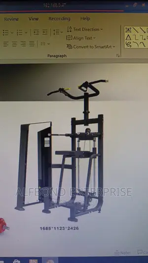 Commercial Assisted Dip/Chin Machine
