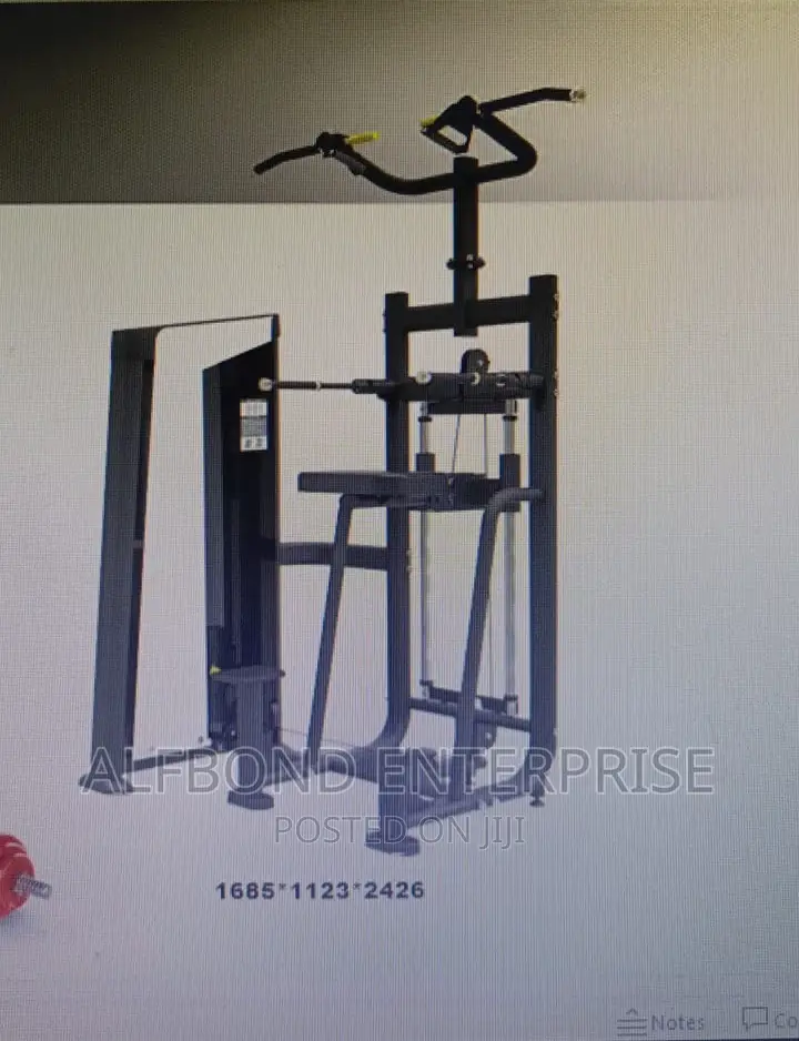 Commercial Assisted Dip/Chin Machine