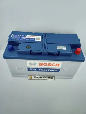 19 Plates Bosch Batteries + Door Step Delivery