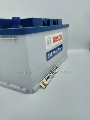19 Plates Bosch Batteries + Door Step Delivery