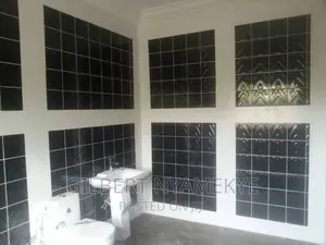 Experience and Professional Tiler for Your Project