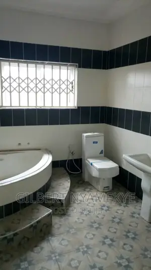 Experience and Professional Tiler for Your Project