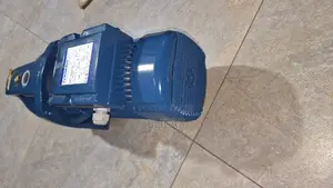 3.0 HP Pedrollo Pressure Pump Cast Body