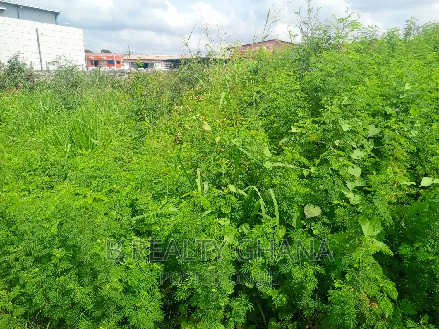 A Titled Land at East Airport for Sale