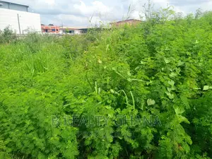 A Titled Land at East Airport for Sale