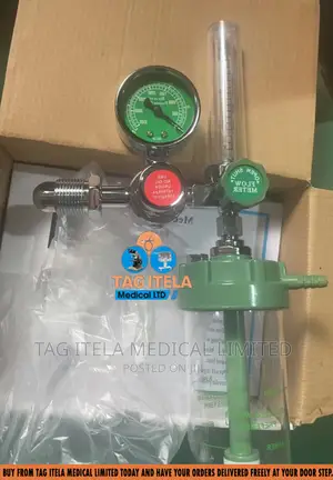 Oxygen Flowmeter (Complete)