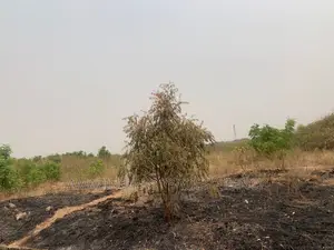 One Acre Land for Sale at Pantang