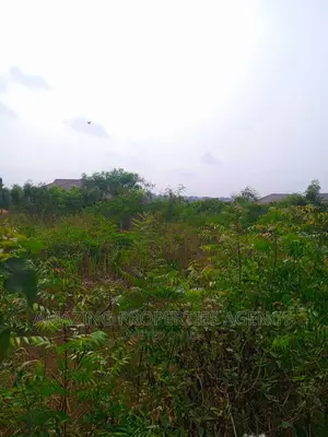 5 Acres of Land for Sale at Borteyman