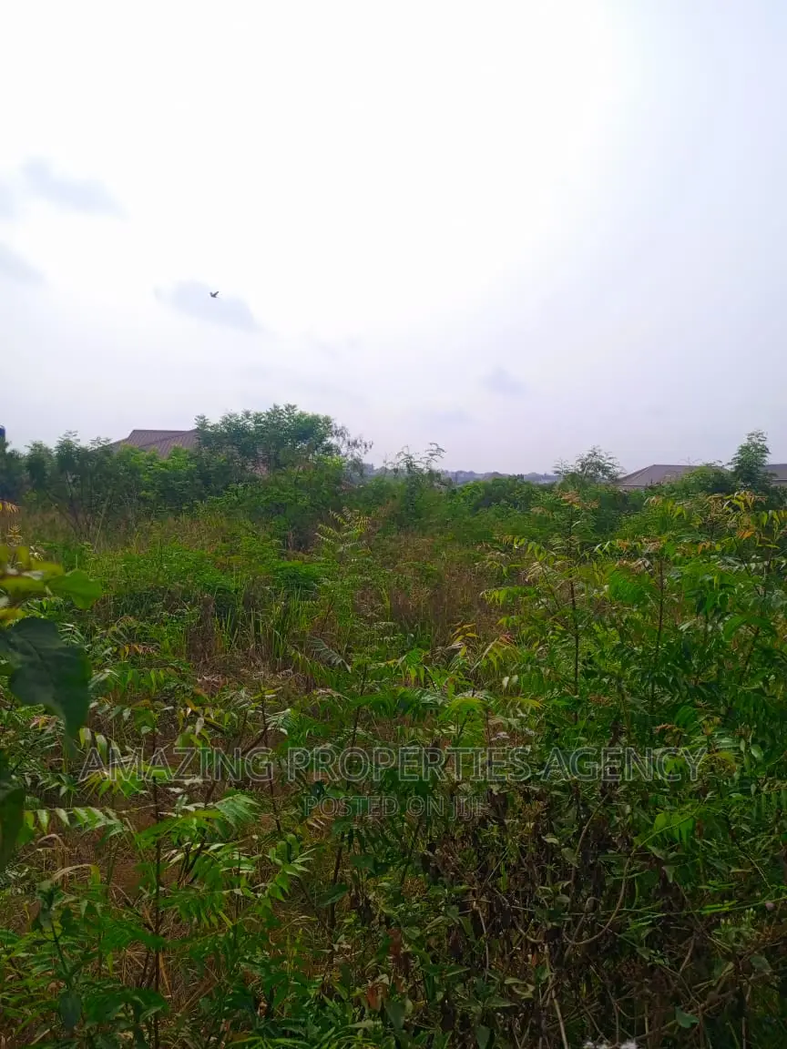 5 Acres of Land for Sale at Borteyman