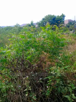 Commercial Land for Sale at Spintex