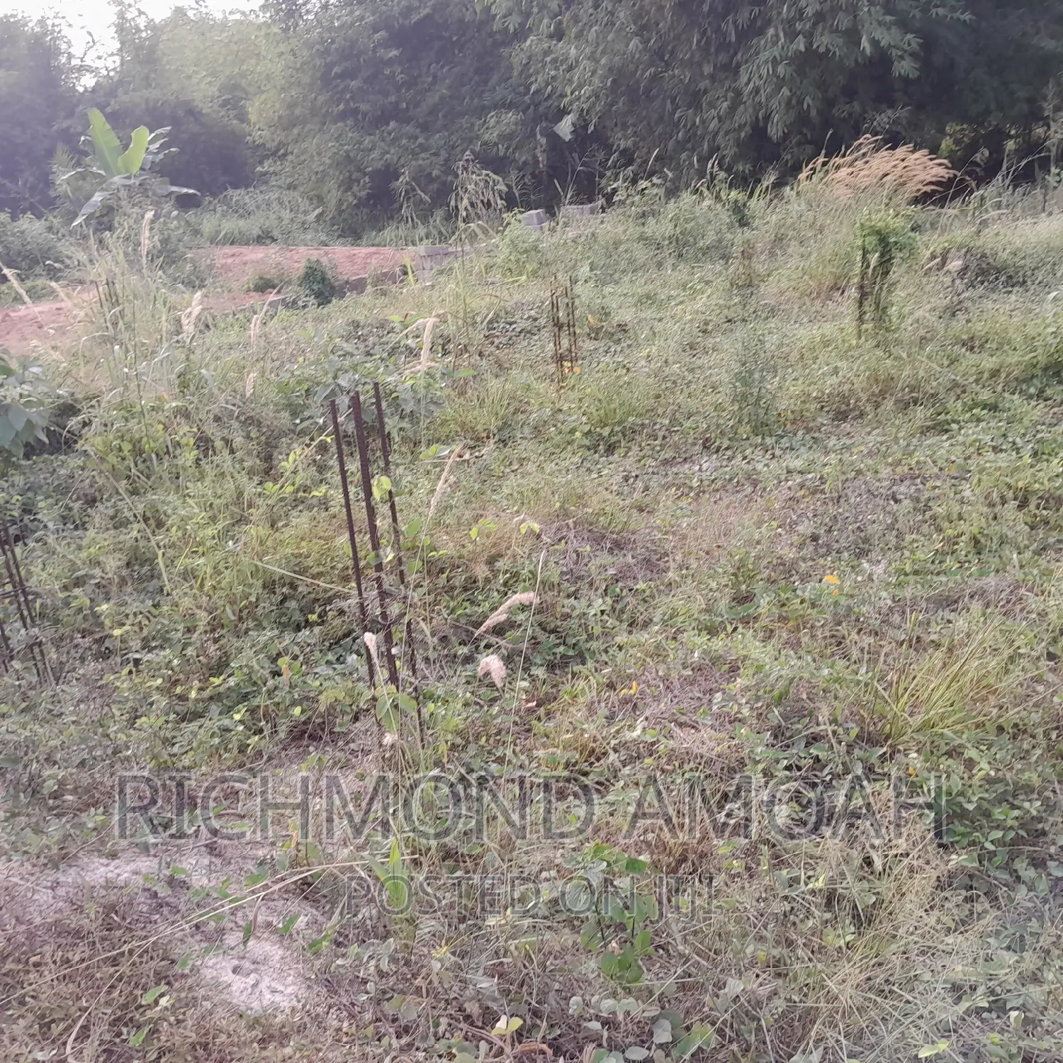 Land With 4bedrooms Footings for Sale at Queen of Peace