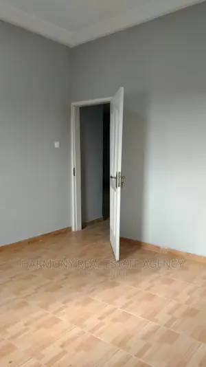 2bdrm Apartment in Dzorwulu for rent