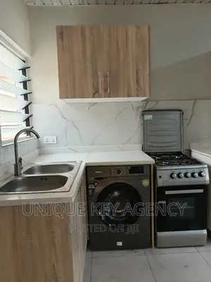 Furnished 1bdrm Apartment in Unique Key Agency, Osu for rent