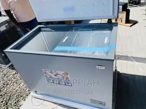 Fast Chilling Pearl PCF-380,316L Single Door Freezer(Gray).