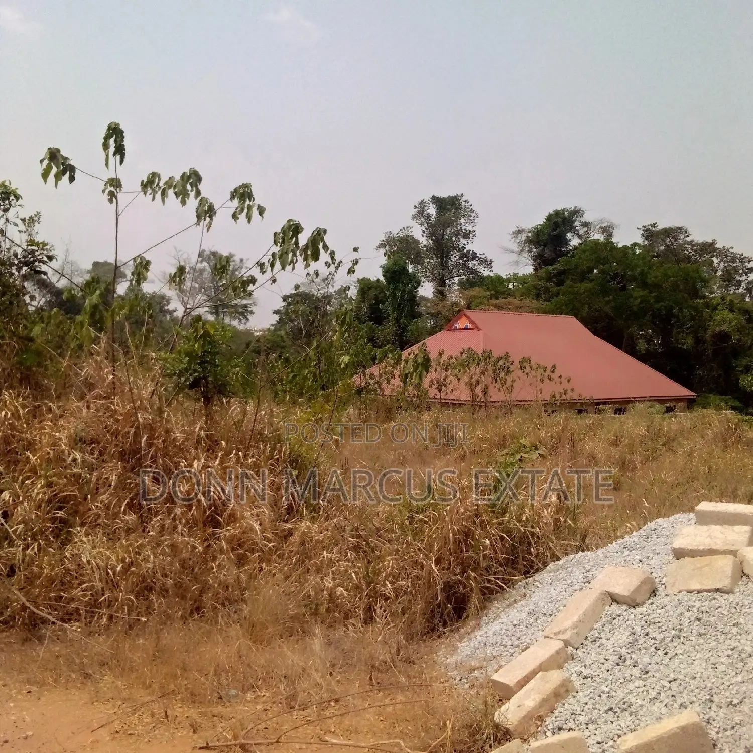 100/100 Plot of Land for Sale