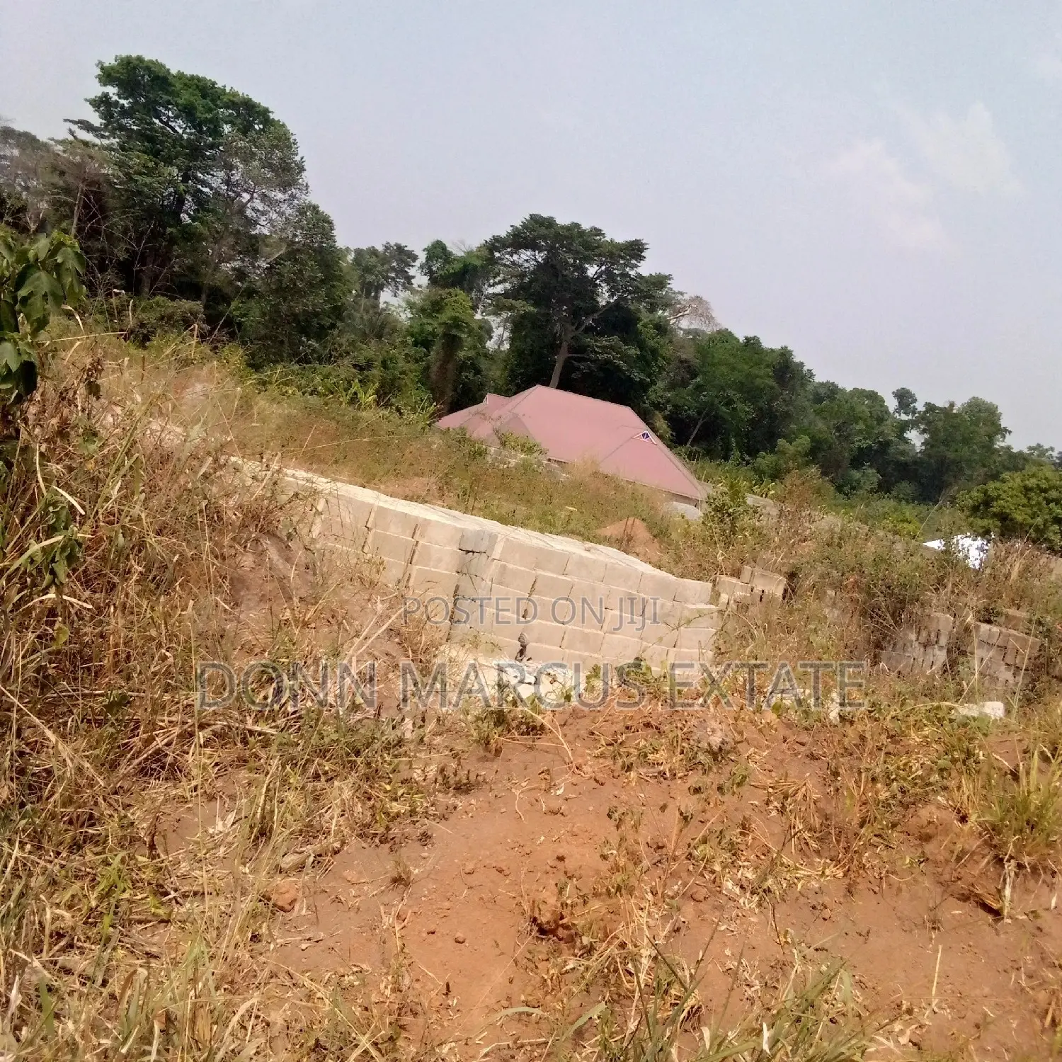 100/100 Plot of Land for Sale