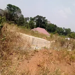 100/100 Plot of Land for Sale