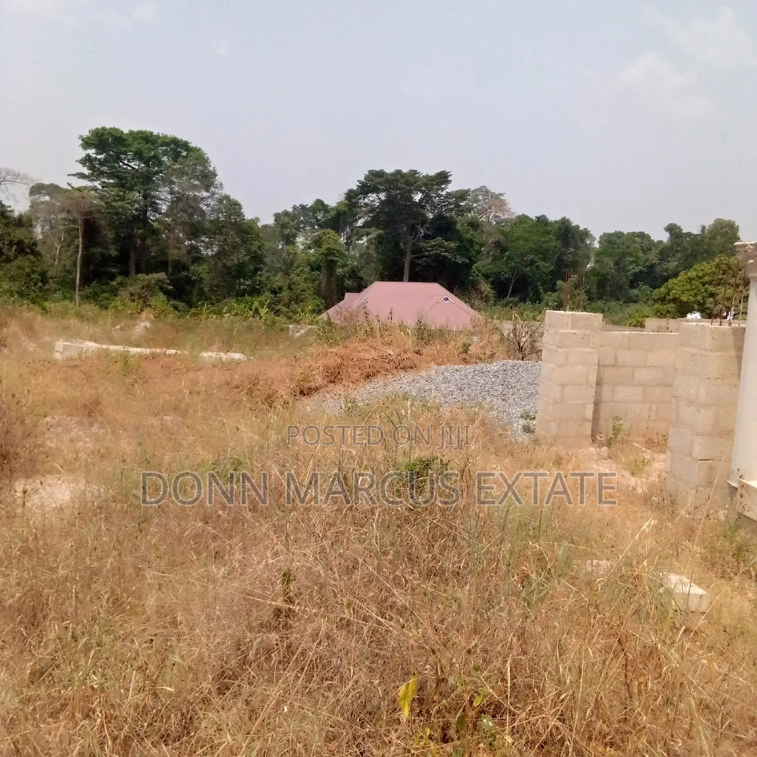 100/100 Plot of Land for Sale