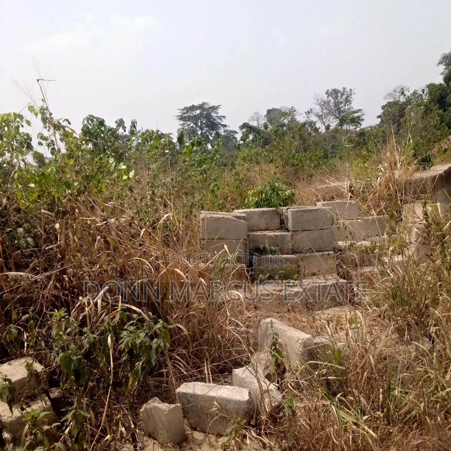 100/100 Plot of Land for Sale