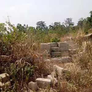 100/100 Plot of Land for Sale