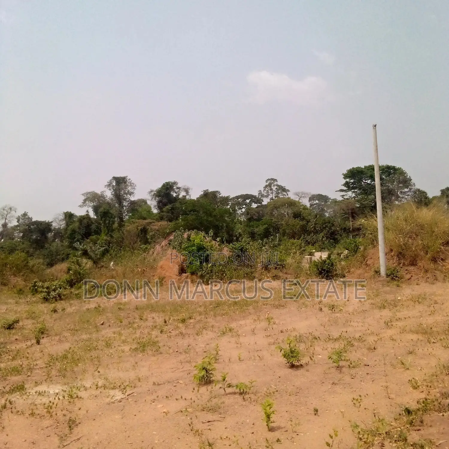 100/100 Plot of Land for Sale