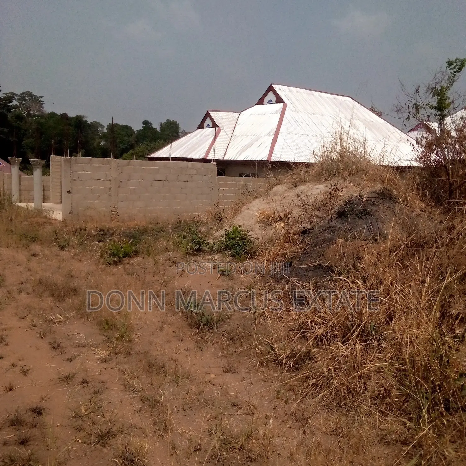 100/100 Plot of Land for Sale