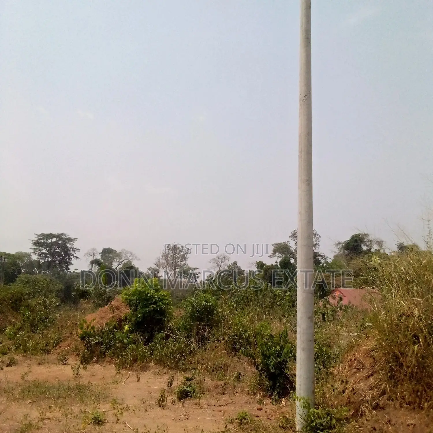 100/100 Plot of Land for Sale