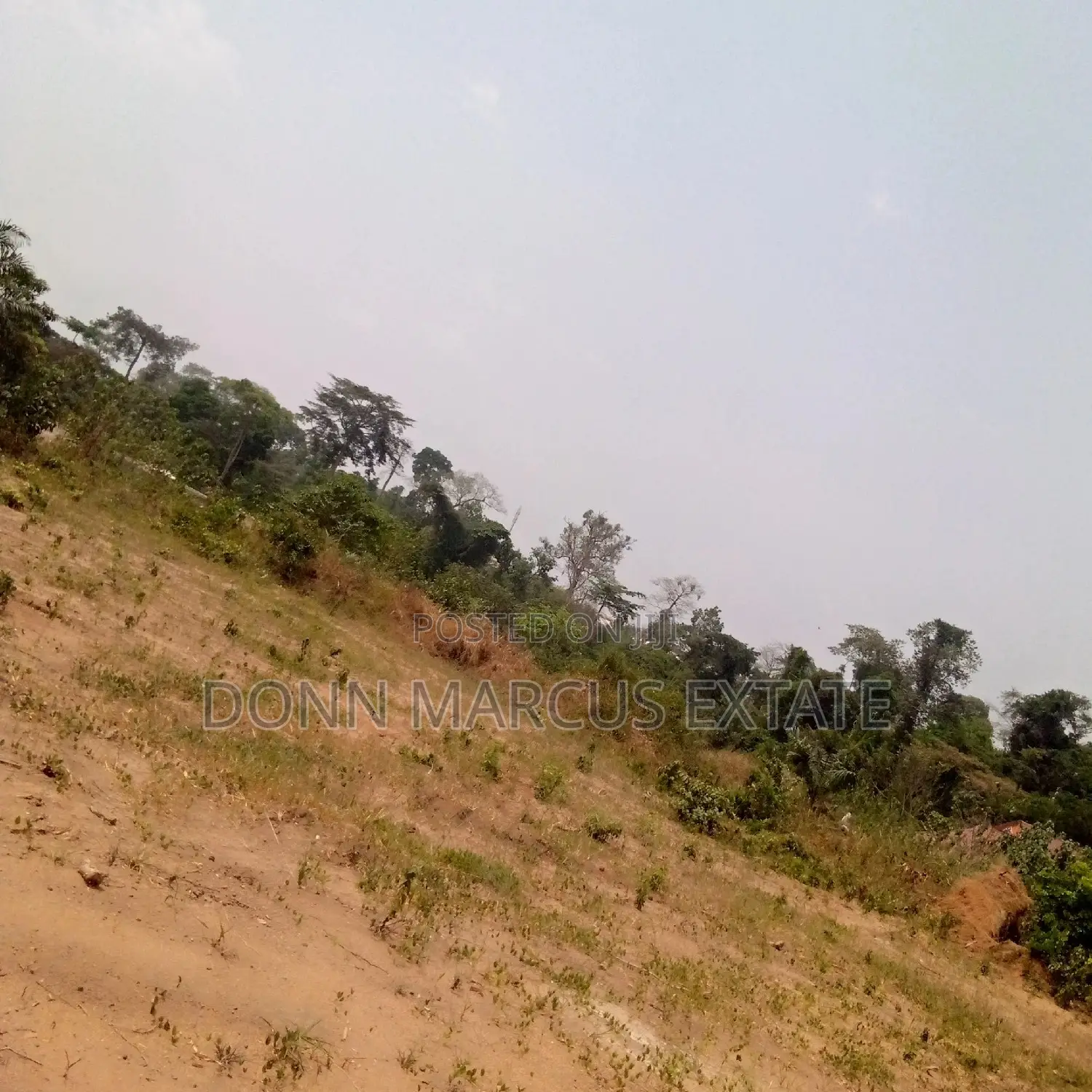 100/100 Plot of Land for Sale