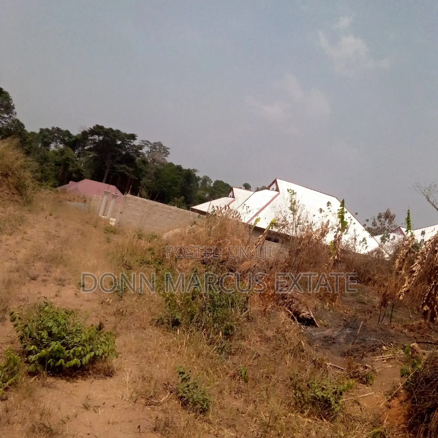 100/100 Plot of Land for Sale