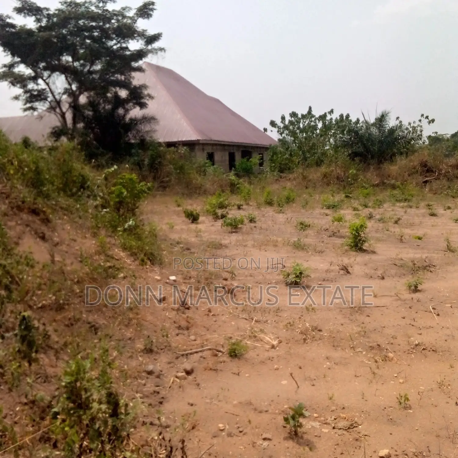 100/100 Plot of Land for Sale