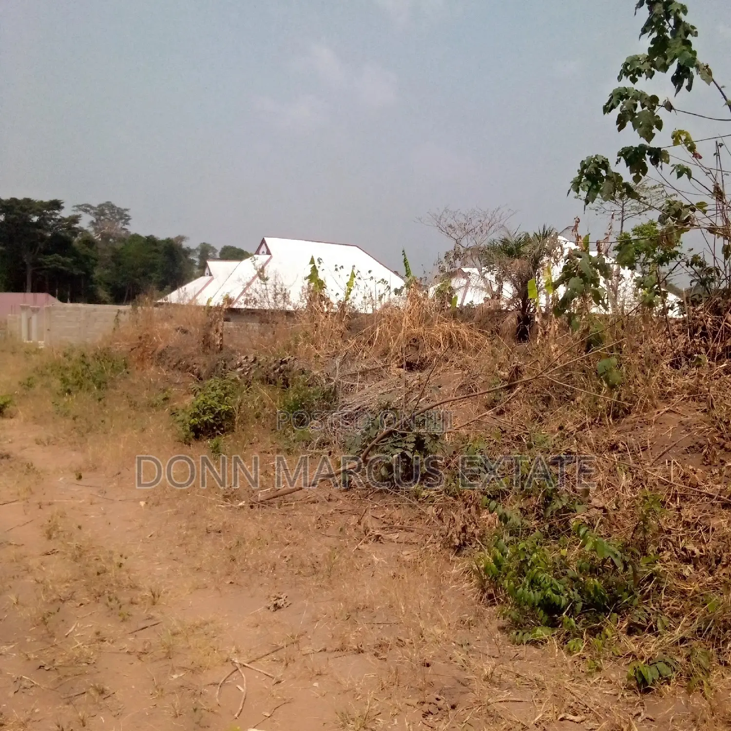 100/100 Plot of Land for Sale
