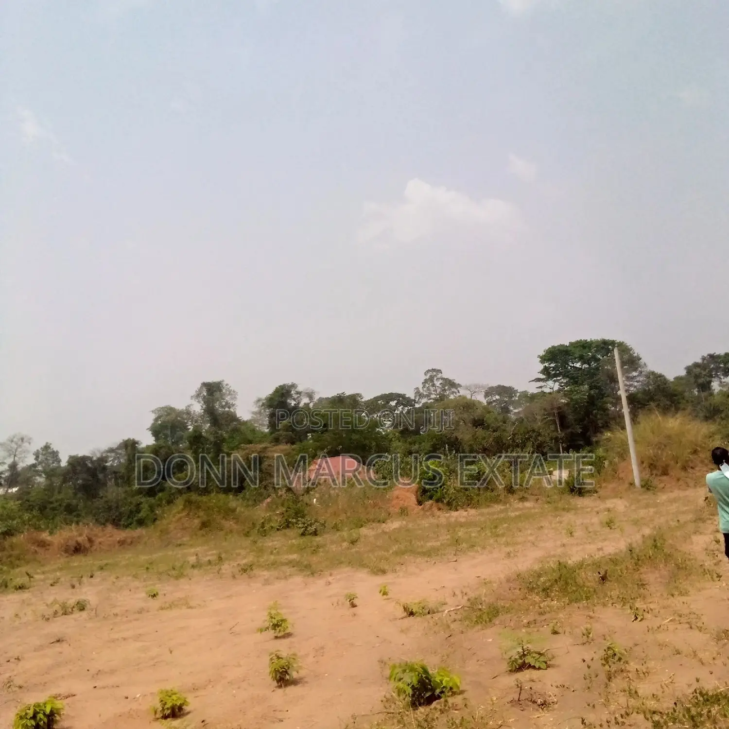 100/100 Plot of Land for Sale