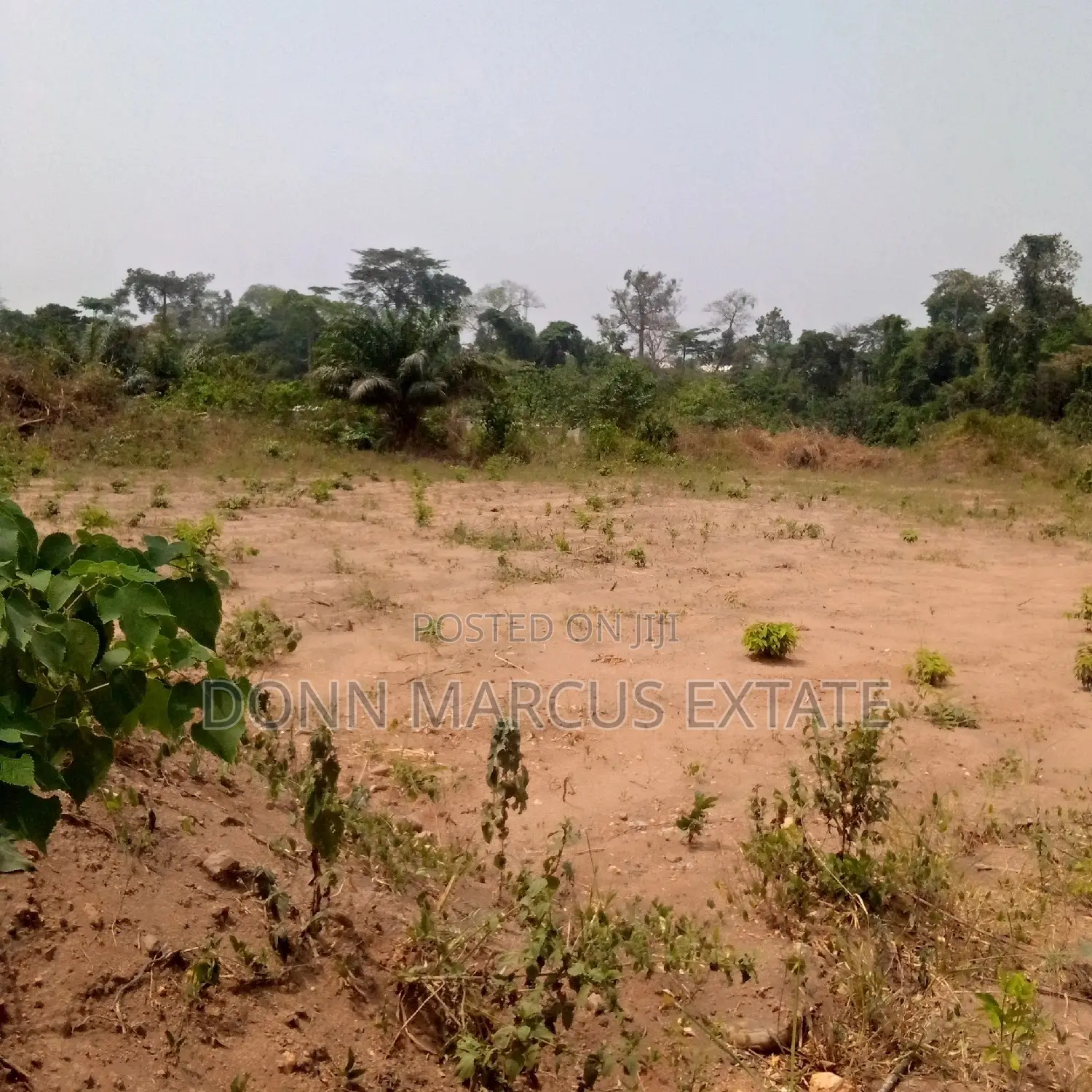 100/100 Plot of Land for Sale