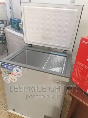 Nasco 145L Silver Unique Freezer