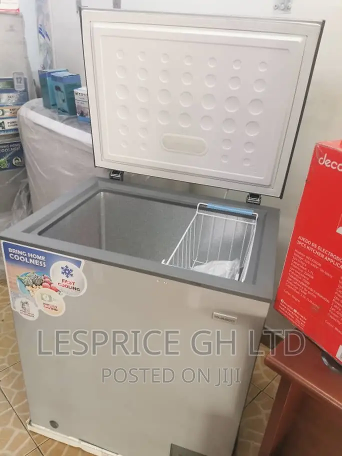 Nasco 145L Silver Unique Freezer