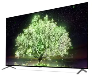 Grab a Deal on LG OLED55A1PVA UHD Smart Glossy Tv 
