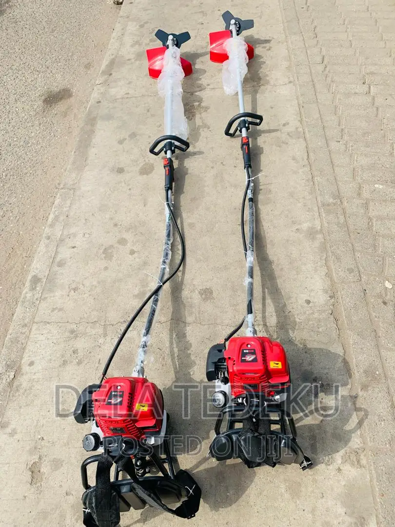 Ecoolmax 4-Stroke 35cc Backpack Brush/Bush Cutter/ at Caprice Bus Stop