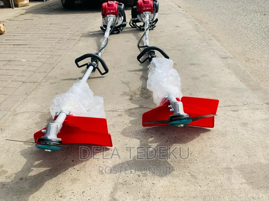 Ecoolmax 4-Stroke 35cc Backpack Brush/Bush Cutter/ at Caprice Bus Stop