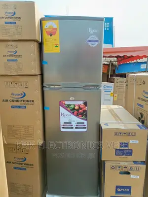 Roch 166ltr Double Door Refrigerators Top Freezer