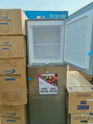 Roch 166ltr Double Door Refrigerators Top Freezer
