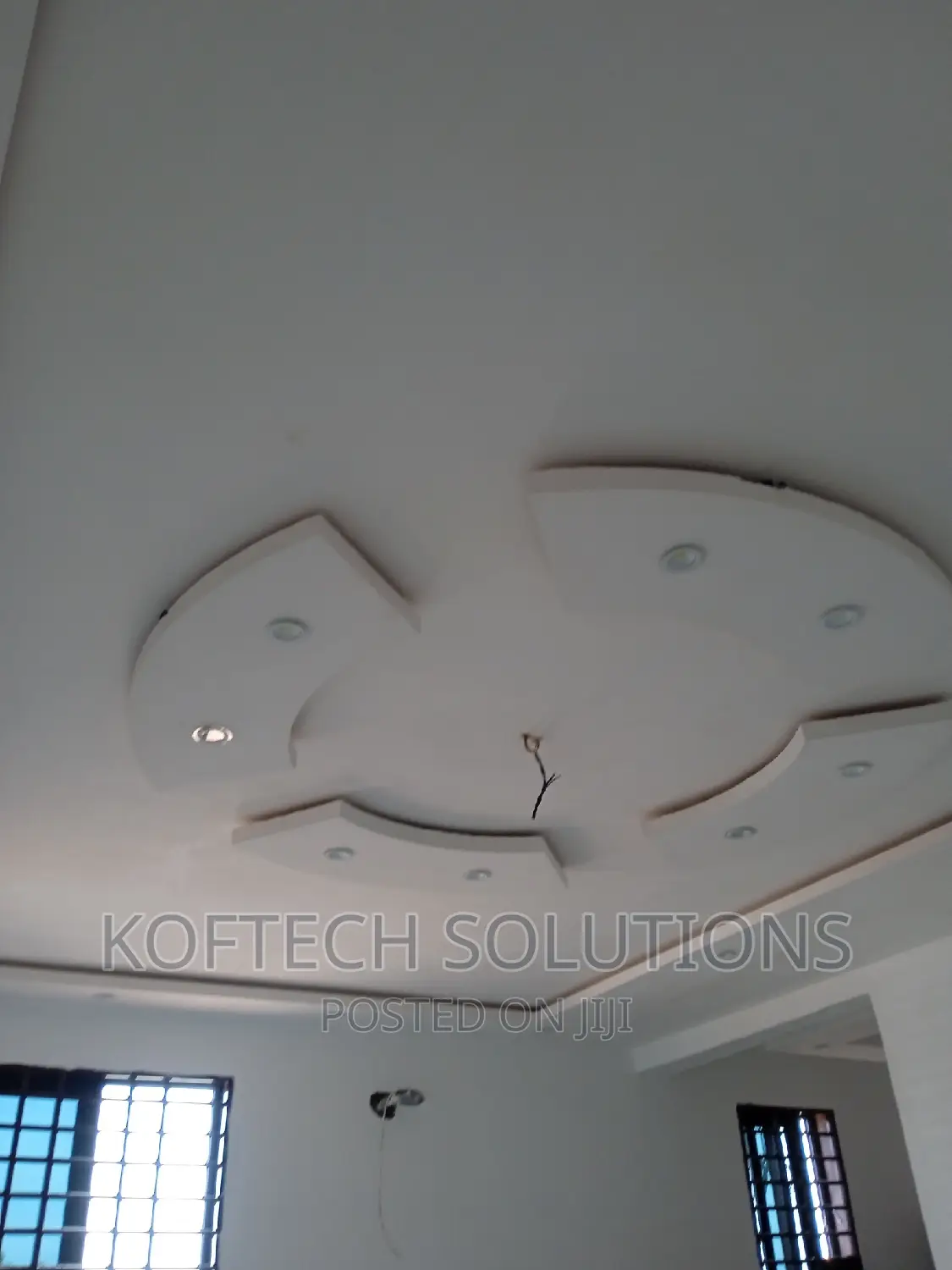 Professional Electrician