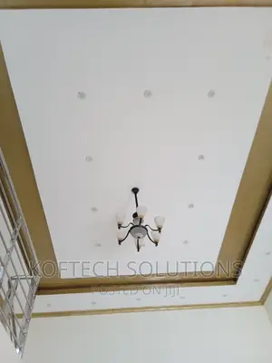 Professional Electrician
