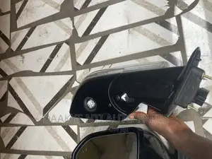 Ford Expedition 2020 Side Mirror